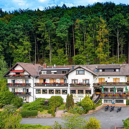 Gasthof-hotel Laermfeuer Hotel 3*